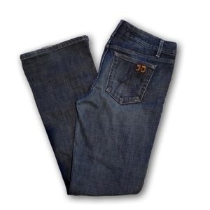 Joe's Visionaire Flare Jean size 28x31